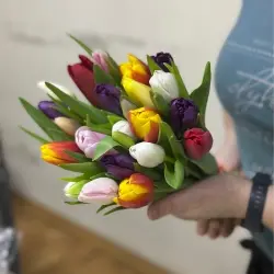 Букет из 25 тюльпанов микс